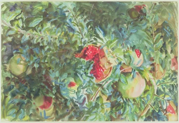 Gránátalma, 1908 (wc ceruzával papíron)