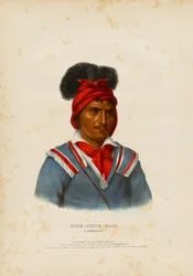 Foke-luste-ajo, egy Seminole