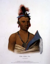 Kee-Shes-Wa, A Fox Chief, kocsma. írta: F.O.W. Greenough