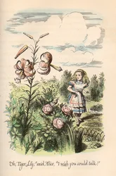 Alice Csodaországban és a Tükörben, Lewis Carroll, illusztrálta John Tenniel