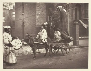 November Effigies, 1881.