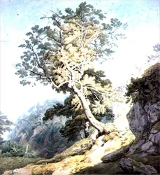 Kilátás Canonteign közelében, Devonban