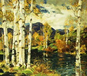 Nyírek