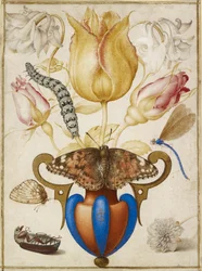 Virágelrendezés vázában, rovarokkal, 1594
