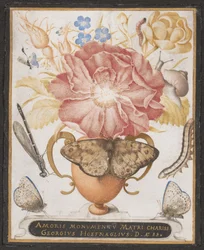 Csendélet virágokkal, csigával és rovarokkal, 1589.