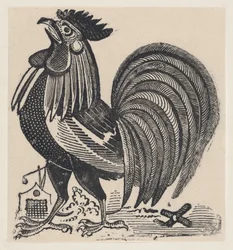 Egy kakas, kb. 1880-1910., kb. 1880-1910.