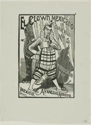 Mexikói bohóc, nem. 5