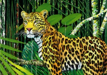 Állatok: Leopárd 1