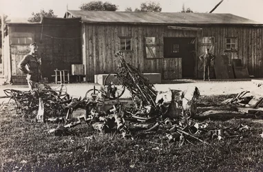Album "Meine weltkriegs - Erinnerungen South-West Front (Karintia, Olaszország, Dél-Tirol) (Az én világháborúm - emlékek a délnyugati frontról Karintiában, Olaszországban, Trentino-Alto Adige) 1915.03.31.-12.11. 1918 – Josef Zohles Wien ": egy olasz repülő