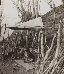Album "Az én világháborúm – emlékek a délnyugati frontról Karintiában, Olaszországban, Trentino-Alto Adige" 1915.03.31-1918.12.11 - Josef Zohles Bécs": katonakutya sátor alatt (