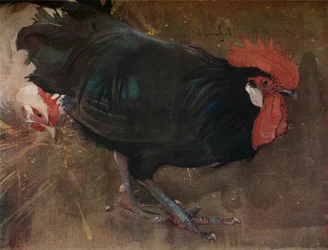A fekete kakas, 1894 körül