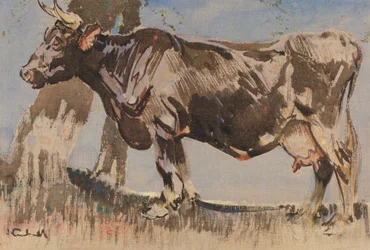 The Old Cow (gouache on linen)