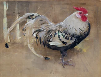 A pettyes kakas