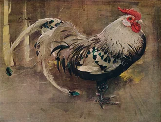A pettyes kakas, 1903, 1935