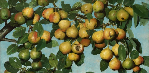 Érő körte, 1884-1885 körül (olaj, vászon)