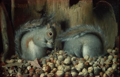 A falánkok (mókusok)