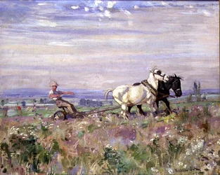 A Plough csapat