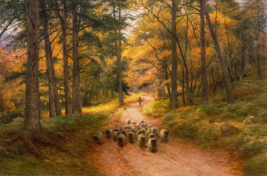 Hazafelé (olaj, vászon)