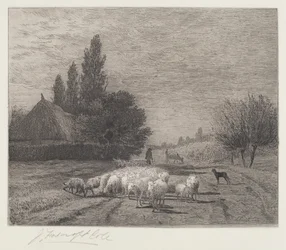 Village Street Franciaországban egy birkanyájjal