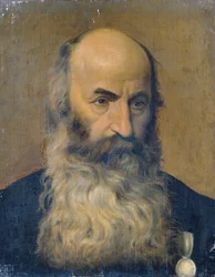 Szakállas férfi tanulmányi feje II