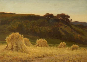 A kukoricatábla