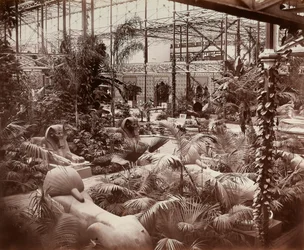 A londoni Kristálypalota: a trópusi részleg, kb. 1870
