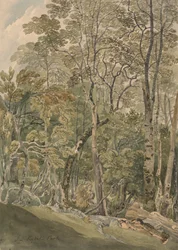 A Rydal Parkban