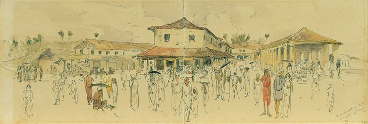 Halpiac a ceyloni Point de Galle-ben (Srí Lanka)