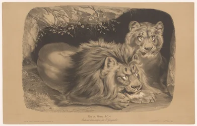 oroszlán és oroszlán Lion et Lionne (cím a tárgyon) Állatkísérletek kétféle krétával (sorozat címe) Etude aux deux zsírkréták par Z. Gengembre (sorozat címe az objektumon)