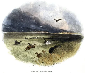 Prairie on Fire, a természet jelenségeiből, 1849