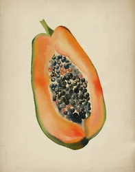 Élénk színű papaya fél