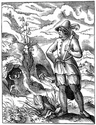 Bányász, 1849. XVI. század.
