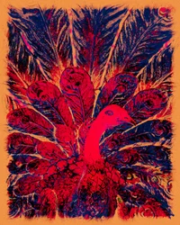 Bahaullah arany pávája, 2016