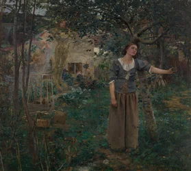 Johanna d