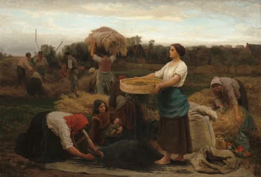 A repce betakarítása, 1860.