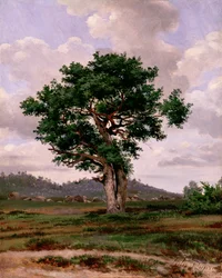 A dühöngő (meleg kedélyű)