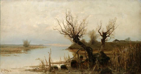 Árvíz, 1890