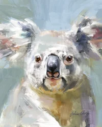 A koala gyengéd pillantása