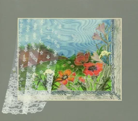 Poppies in a country landscape