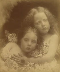 Angol virágok, 1873.