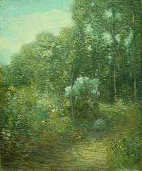 Az öreg babérbokor (olaj, vászon)