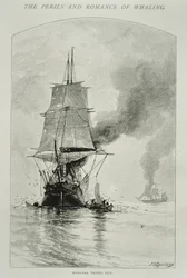 „Whalers Trying Out” (egy bálnát kifarag, és a fedélzetre viszi a húsát), a „The Perils and Romance of Whaling” címmel a Century Magazine-ban, 1890. augusztus (metszet)