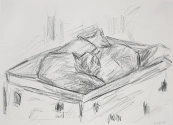 Cats Nestling, 2015 (ceruza)