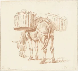 Megrakott szamár
