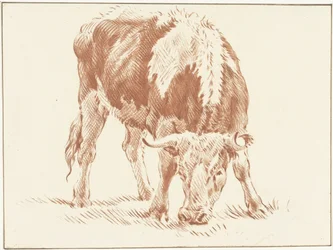 Köszönöm