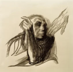 Käthe Kollwitz, a Halál hívása
