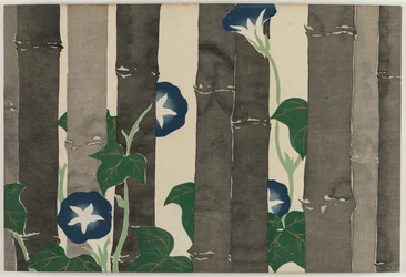 Száz világ virágai (Momoyogusa): Morning Glories (Asagao)