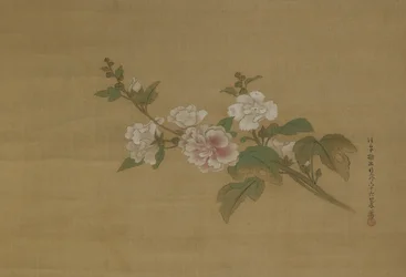 Virágzó hibiszkusz ága, Edo Period (szín a selyemen)