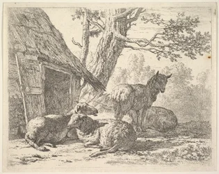 Négy bárány, egy bárány három másik között áll a földön fekve egy fészer mellett, 1658-ban.