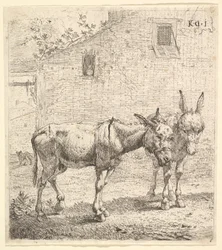 Két szamár áll egy füves udvarban, egyik szelvényben jobbra, a másik hátul..., 1652.